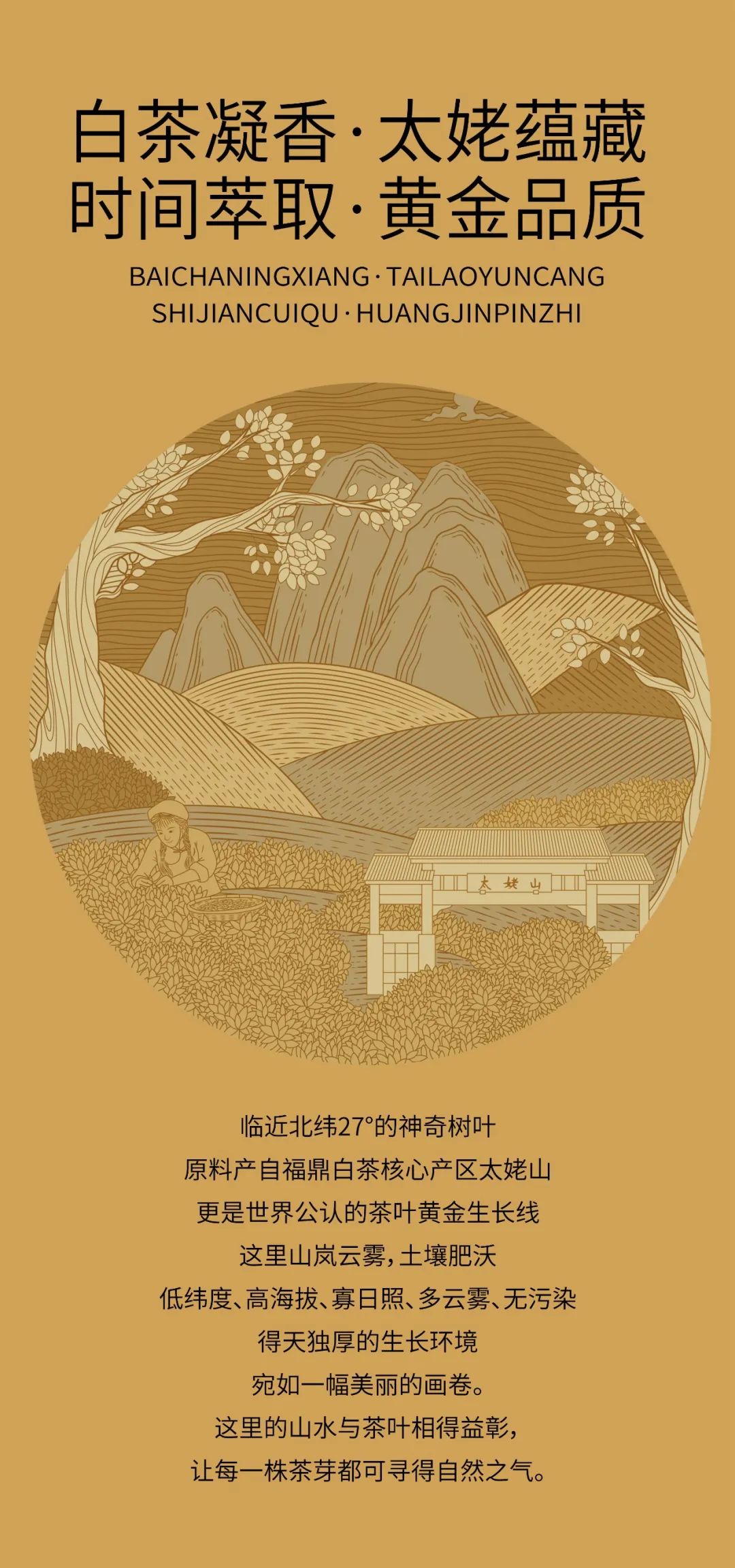 北京茶葉專業(yè)包裝設(shè)計(jì)公司